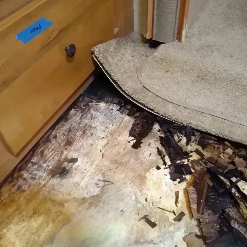 Best Wood Floor Water Damage Service in Waukegan, IL